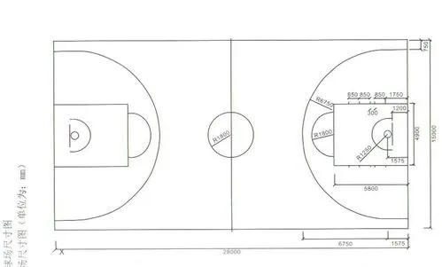 篮球场正规尺寸介绍你知道比赛中的大小细节吗？-第3张图片-www.211178.com_果博福布斯